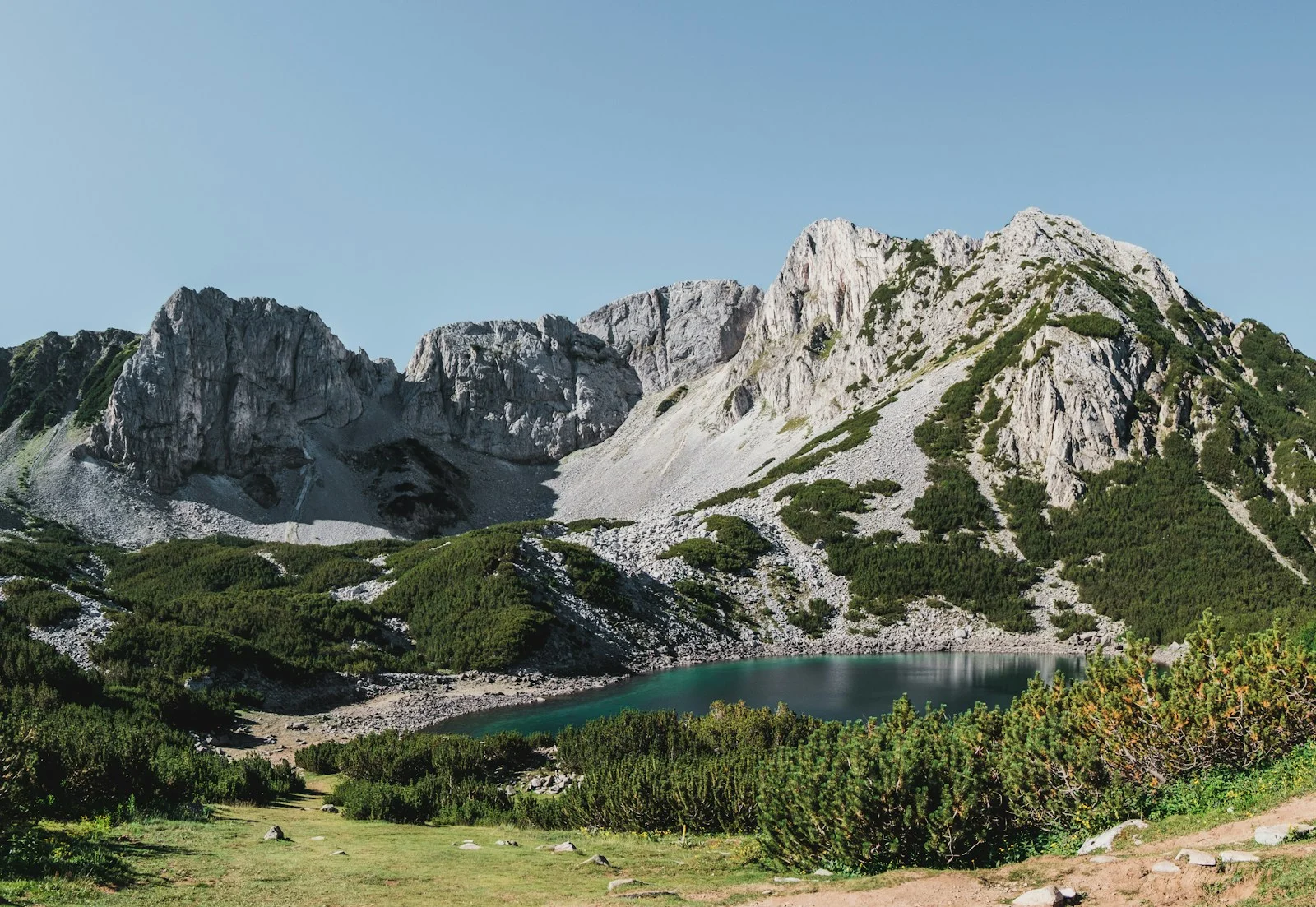Застраховки